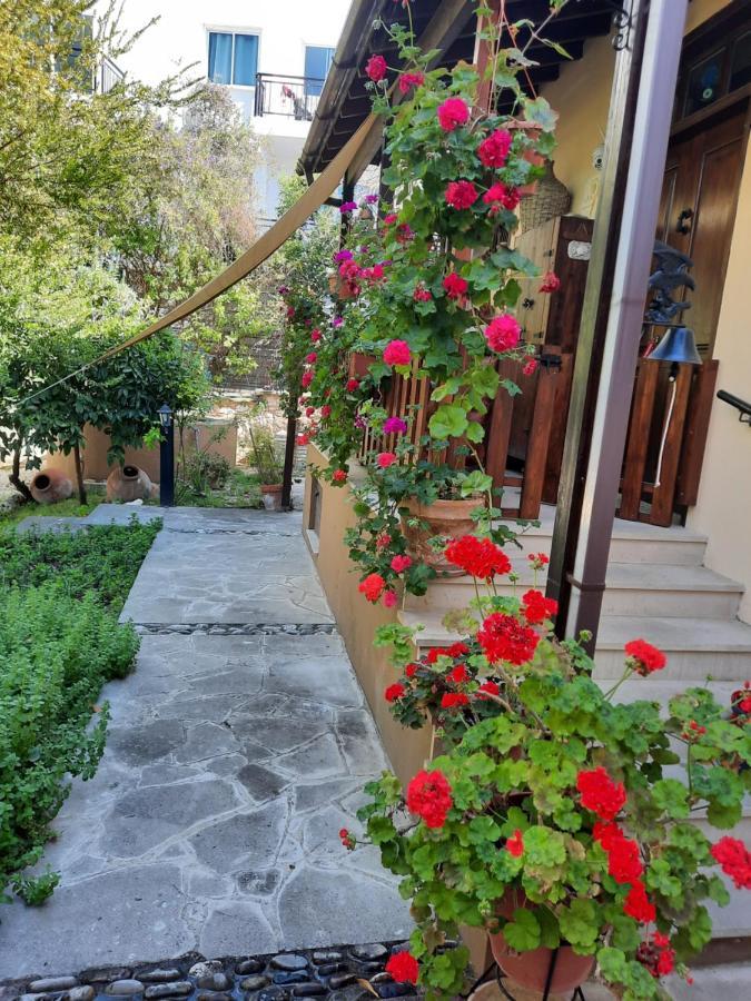 فيلا Vasilion Agrotourism Polis المظهر الخارجي الصورة