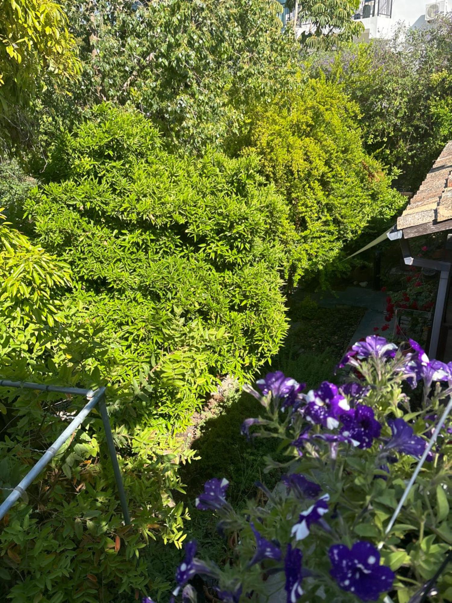 فيلا Vasilion Agrotourism Polis المظهر الخارجي الصورة