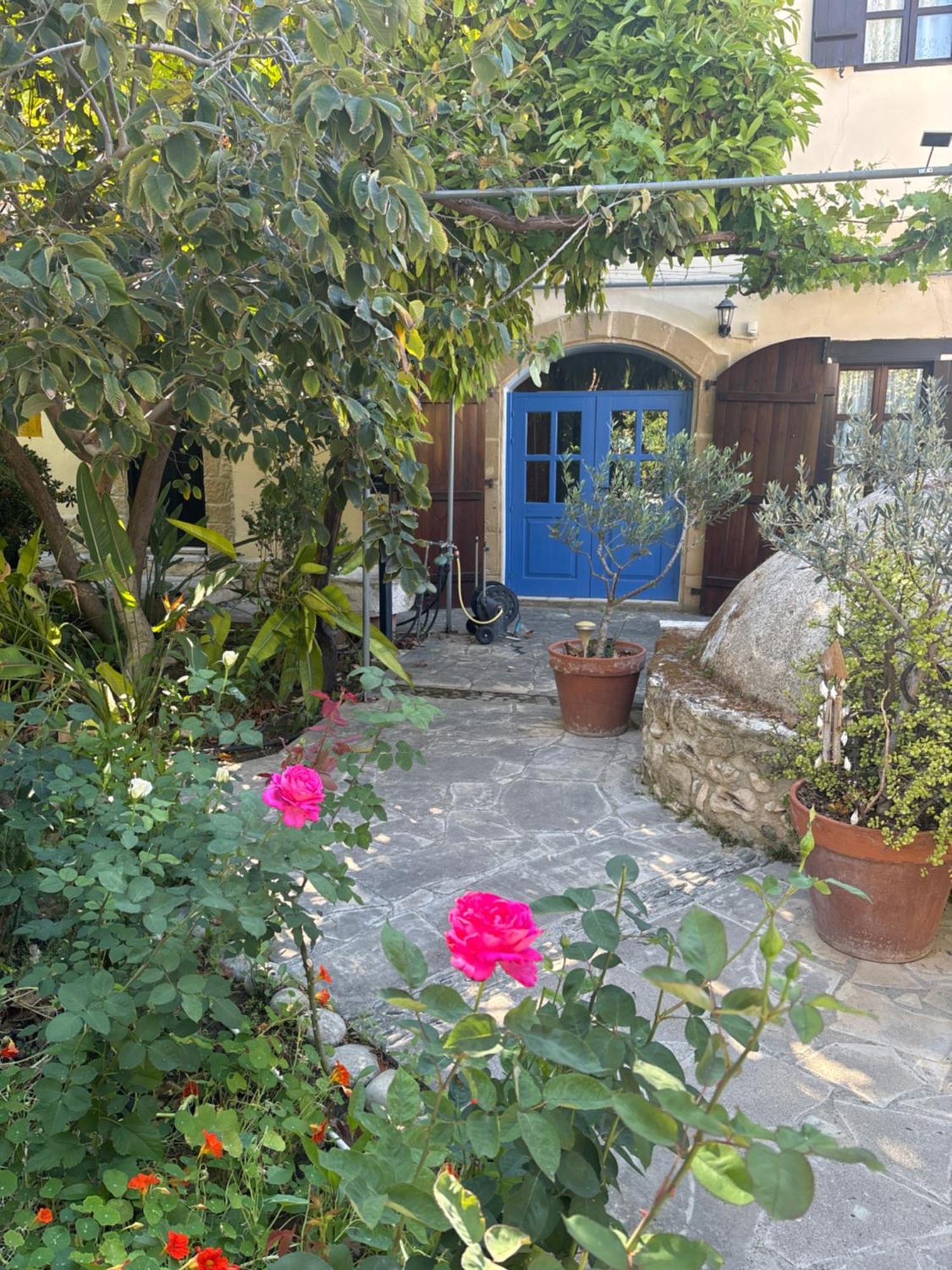 فيلا Vasilion Agrotourism Polis المظهر الخارجي الصورة