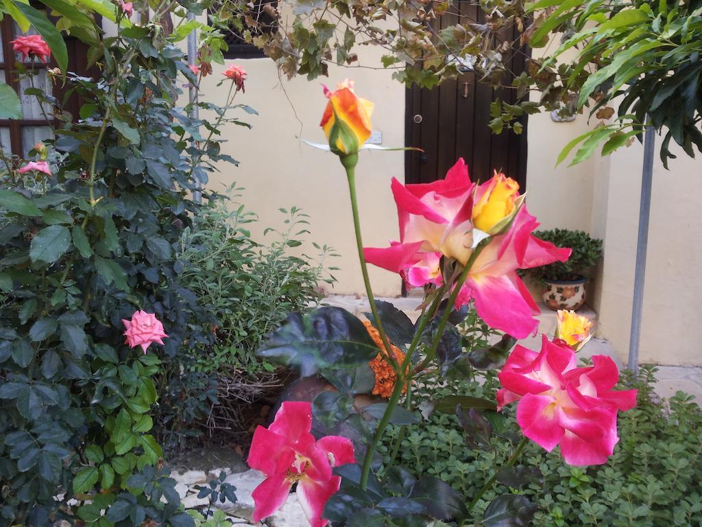 فيلا Vasilion Agrotourism Polis المظهر الخارجي الصورة
