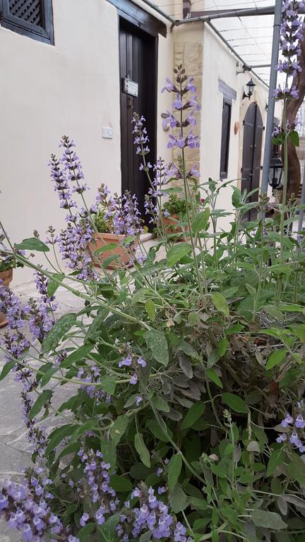 فيلا Vasilion Agrotourism Polis المظهر الخارجي الصورة
