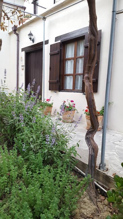 فيلا Vasilion Agrotourism Polis المظهر الخارجي الصورة