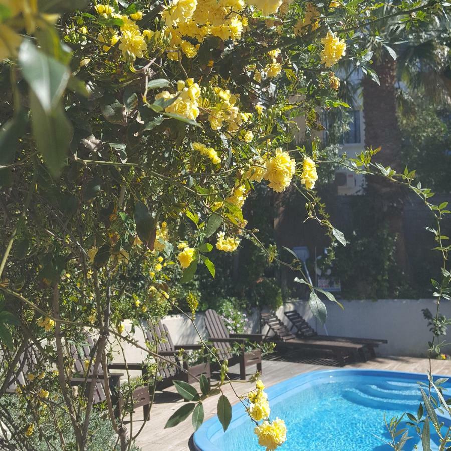 فيلا Vasilion Agrotourism Polis المظهر الخارجي الصورة
