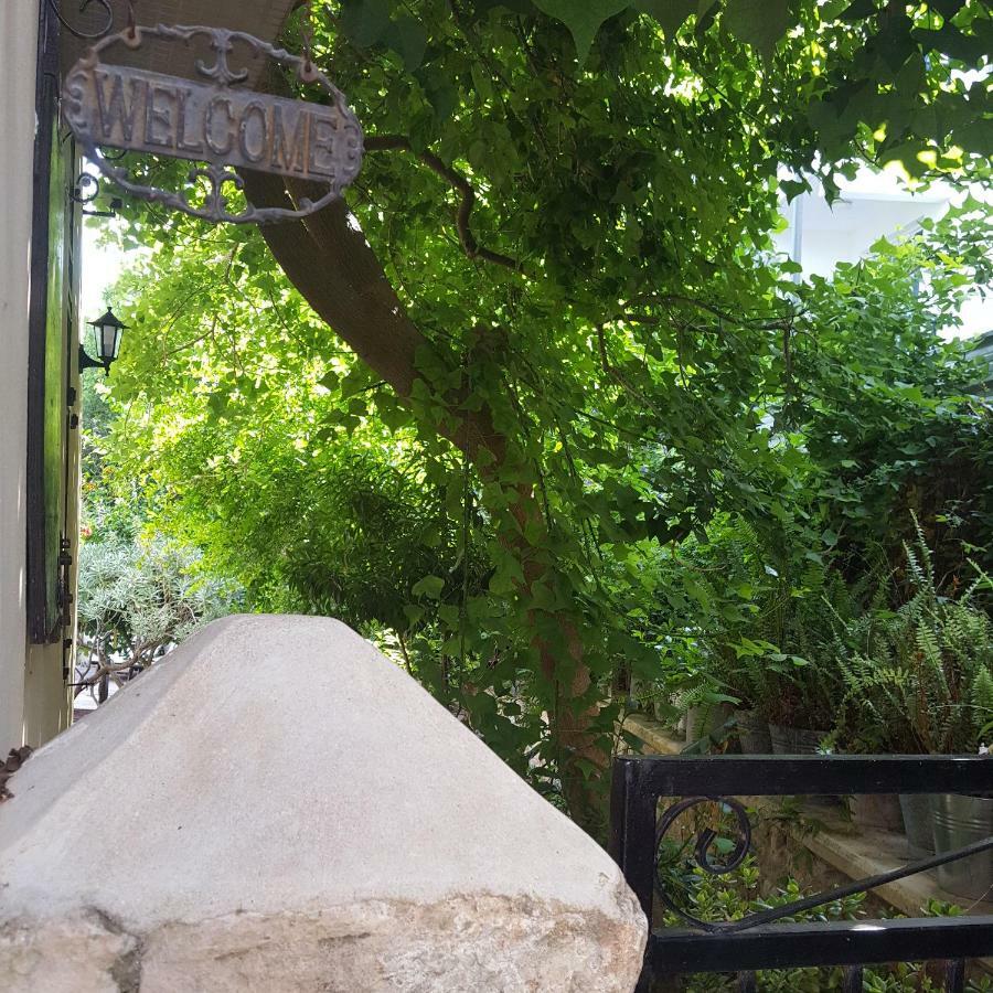 فيلا Vasilion Agrotourism Polis المظهر الخارجي الصورة