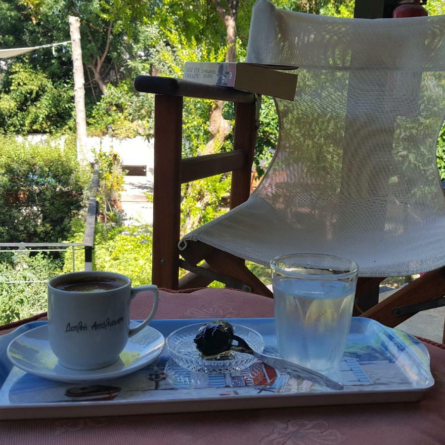 فيلا Vasilion Agrotourism Polis المظهر الخارجي الصورة